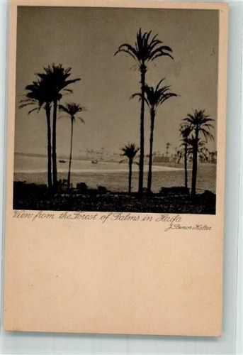Haifa 1930 sign. Benor-Kalter, J. palmen