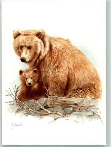 Grizzlybären