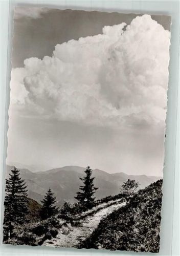 Belchen Rundweg zum Blößling