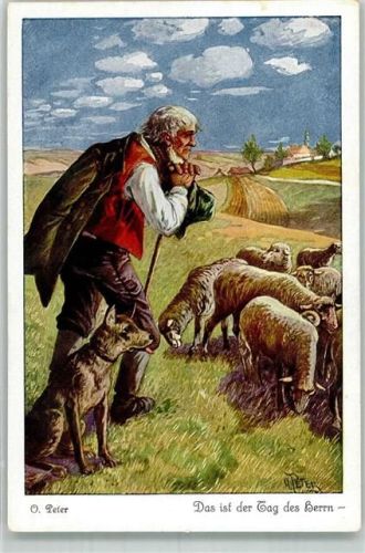 sign. O. Peter Hirtenhund Schafherde Landwirtschaft