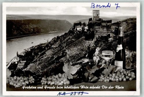 Kamp-Bornhofen Burg Sterrenberg