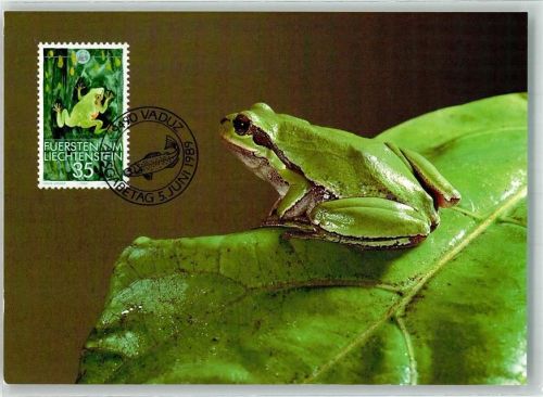 Sondermarke Laubfrosch