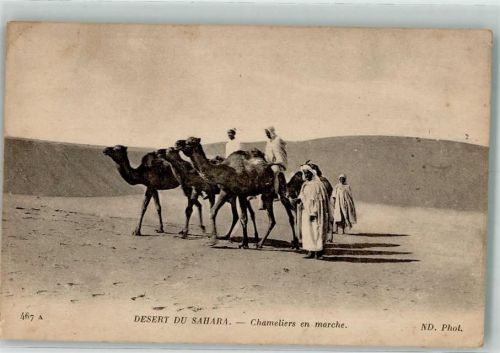 Nr. 467 A Deseert du Sahara - Chameliers en marche Phot Neurdein et Cie Paris