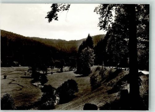 Altensteig nagoldtal