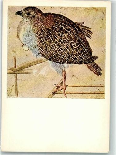 Wien Rebhuhn Alberina Nr 3110