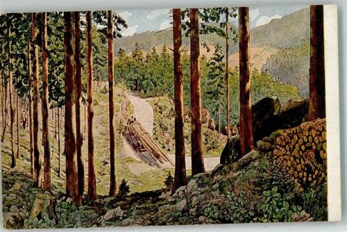 Meinholds Anschauungsbild Nr. 4 Frühling Wald Holzverarbeitung