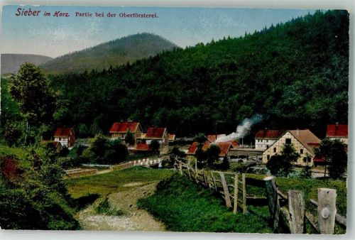 Sieber Bei der Oberförsterei