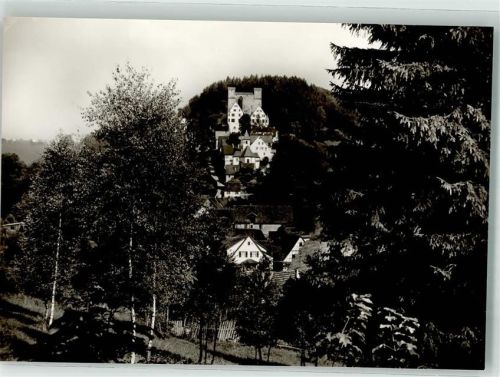72213 W7272 Berneck , Württ Foto AK Schloss