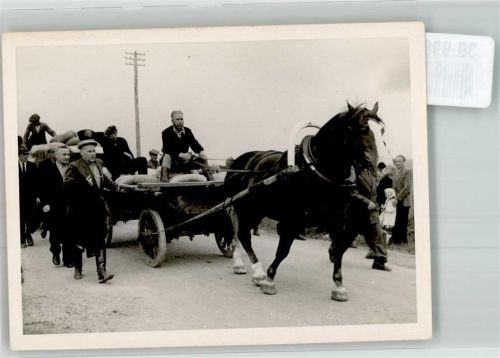 Pferd Tiergespann FOTO KEINE AK