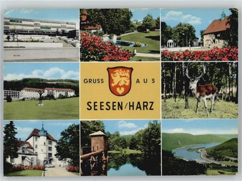 38723 W3370 Seesen , Harz - Schule, Ortspartie, Flusspartie, Wild