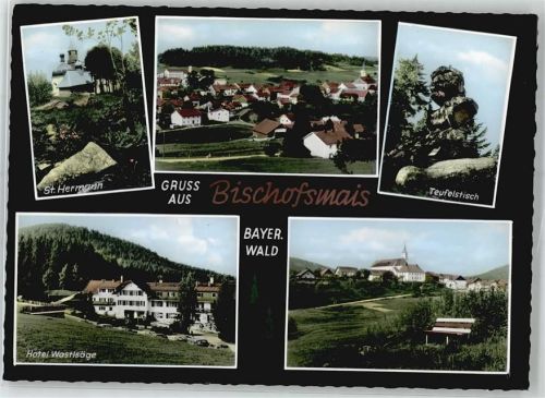 Bischofsmais Teil-Ansicht