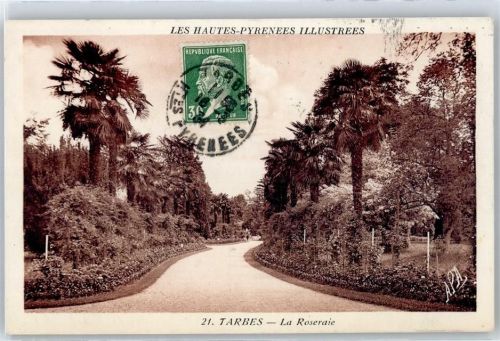 Tarbes Park, Palmen