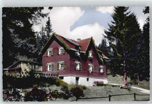 Blasiwald Haus Schnee