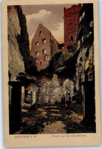 Wertheim Partie aus der Schlossruine