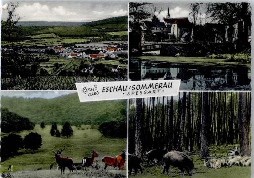 63863 W8751 Eschau , Unterfr - Sommerau