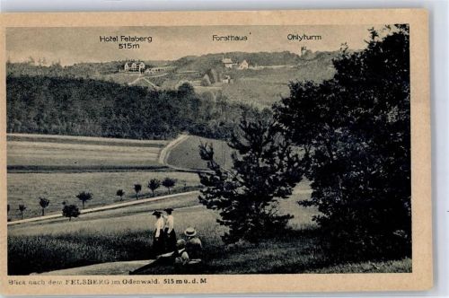 Felsberg Hotel Felsberg Forsthaus Ohlyturm