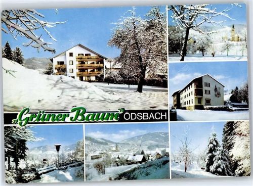 Oedsbach Hotel Grüner Baum Winter