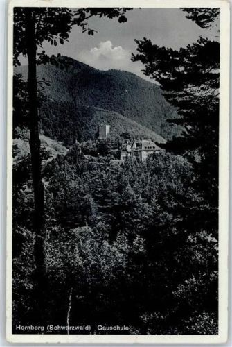 Hornberg Gauschule WK II