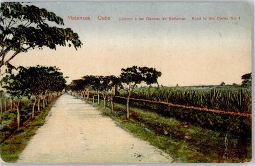 Road to the Caves No.1