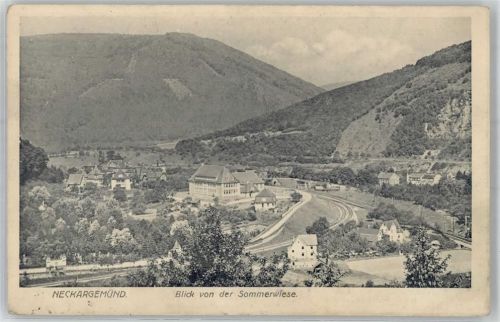 Neckargemünd Blick von der Sommerwiese