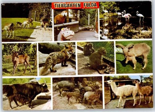 Fulda Tiergarten