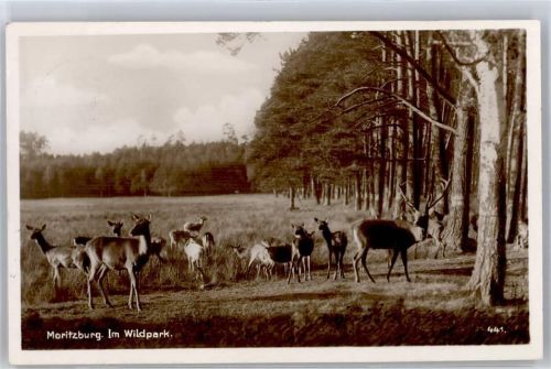 Moritzburg Wildpark