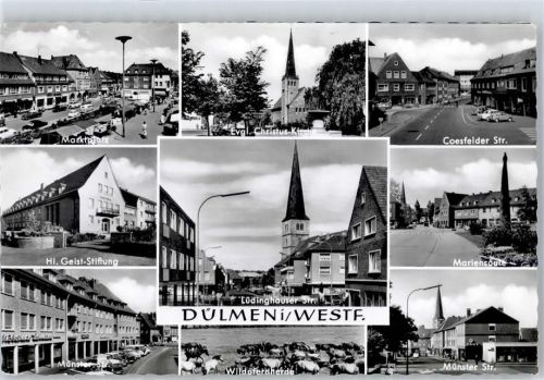 Dülmen Ev. Kirche Marktplatz Mariensäule Wildpferde