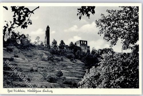 Bad Dürkheim Ruine Limburg