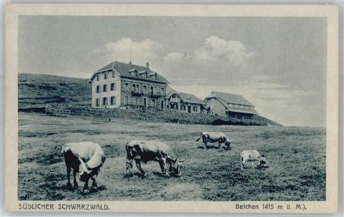 Belchen Kuhweide