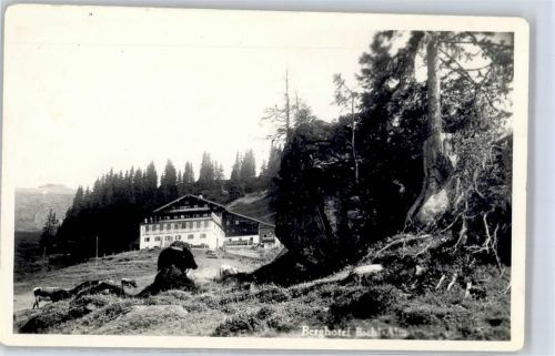 Kitzbühel Hotel Bichl-alm