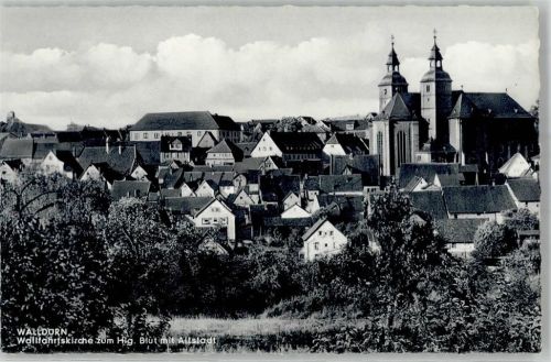 Walldürn Wallfahrtskirche zum Hlg. Blut mit Altstadt