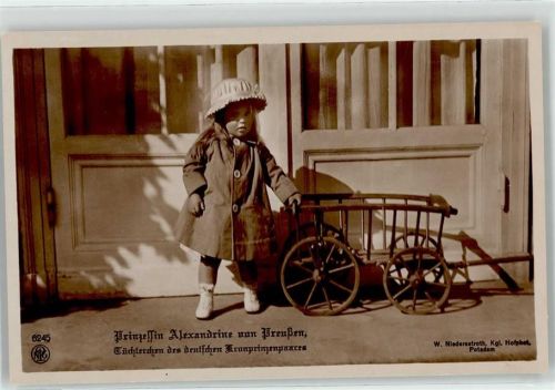 Prinzessin Alexandrine NPG