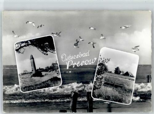 Ostseebad Prerow Leuchtturm Möwen