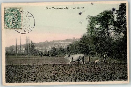 Trevoux
