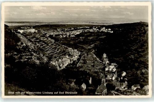 Bad Dürkheim Blick von der Klosterruine Limburg