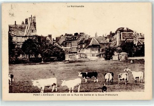 14130 Pont-l'Eveque 1934 - Normandie Kühe