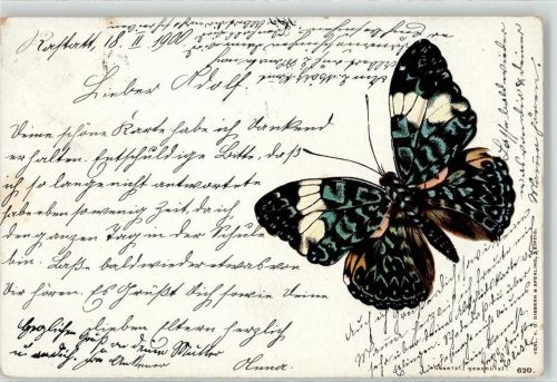 1900