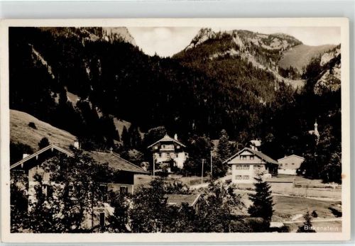 Birkenstein