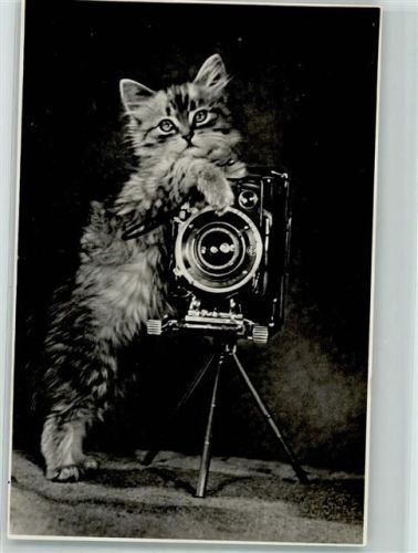 Fotoapparat