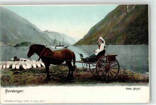 Hardangerfjord Tracht Kutsche Dampfschiff