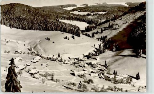 Muggenbrunn Winter