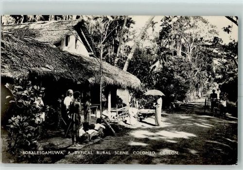 Colombo 1903 Boralesgamuwa Rural Scene