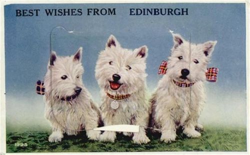 Edinburgh Edinburgh (Großbritannien) Leporello West-Highland-White-Terrier I-II (Ecken abgestossen)
