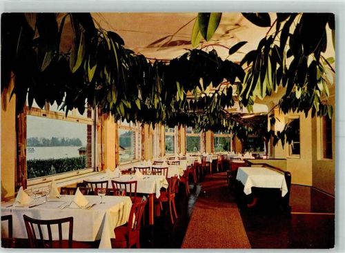 Feldafing Forsthaus am See Gummibaum