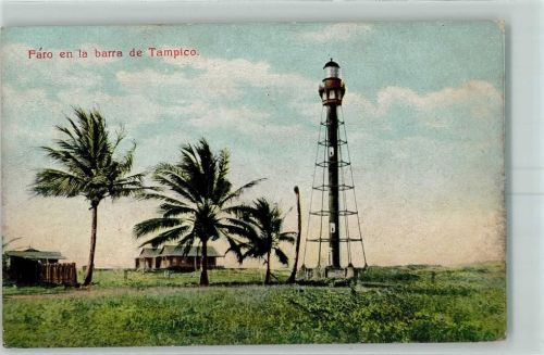 Tampico 1910 Palme