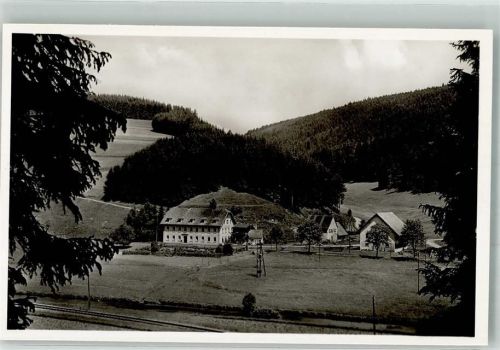 78166 W7710 Hammereisenbach Foto AK Gasthaus zum Fischer