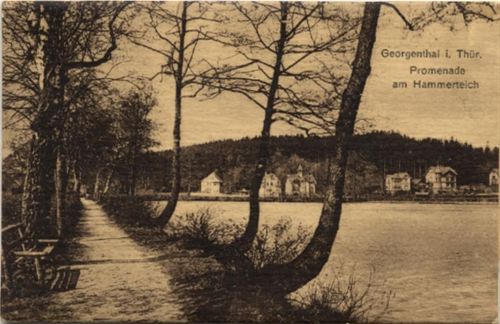 99887 O5805 Georgenthal - Georgenthal (o-5805) Mechanik-Karte mit Leporello Promenade am Hammerteich I-II