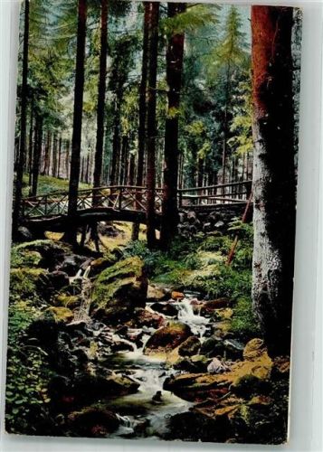 Paderborn 1905 Brücke über einen Waldbach Ort lt. Stempel