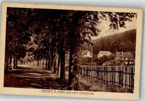 Seesen Weg nach Lautenthal