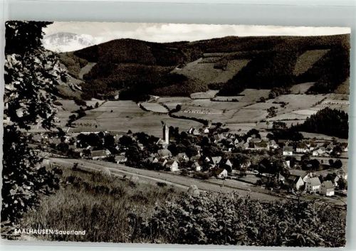 Saalhausen